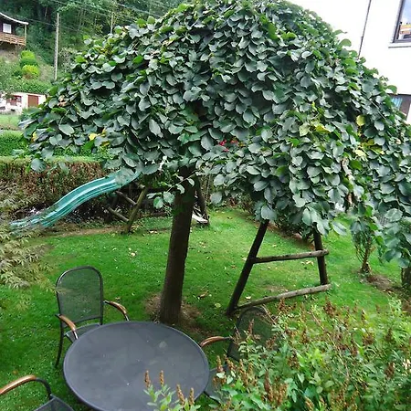 Clara La-Roche-en-Ardenne